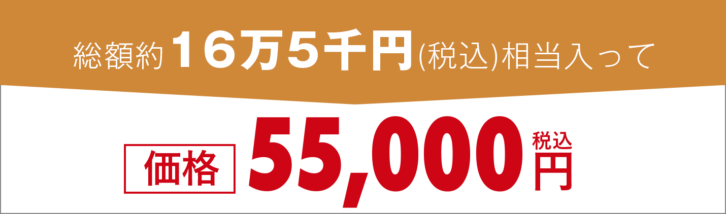 55,000円(税込)