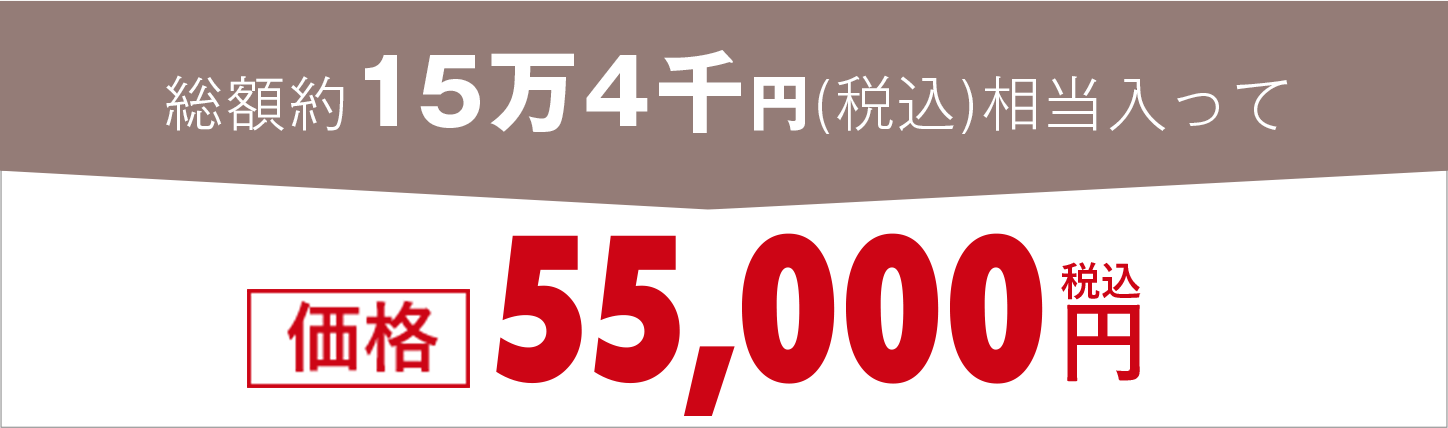 55,000円(税込)