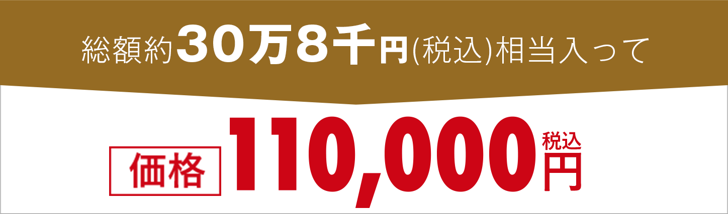110,000円(税込)